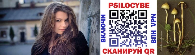 Галлюциногенные грибы мицелий  Колпашево 